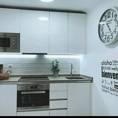 Mirador Catedral De Santiago Homestay Bilbao
