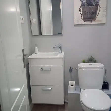 Mirador Catedral De Santiago Homestay Bilbao