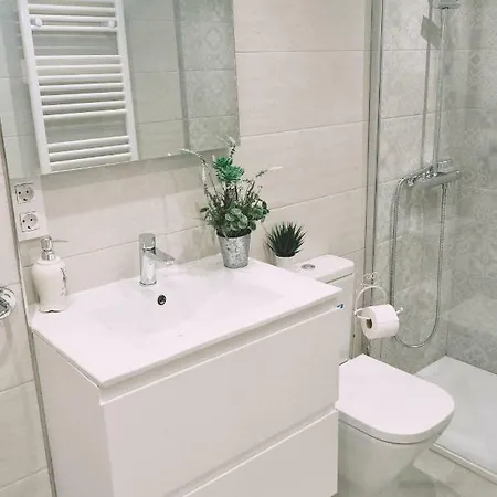 Mirador Catedral De Santiago Homestay Bilbao