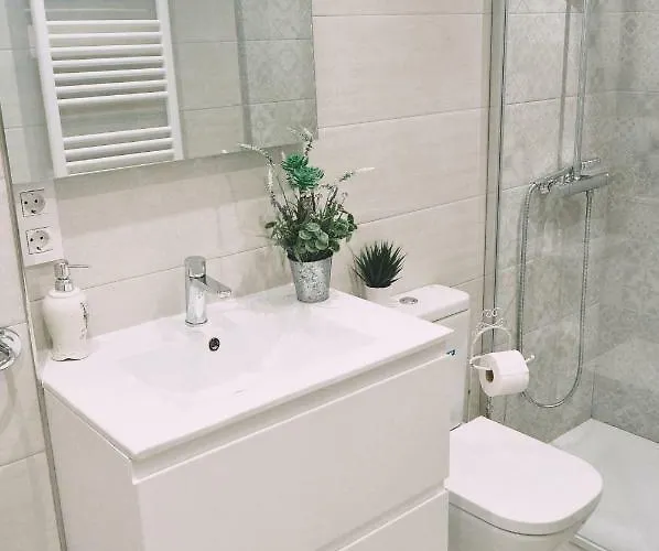 Mirador Catedral De Santiago Kwatera prywatna Bilbao